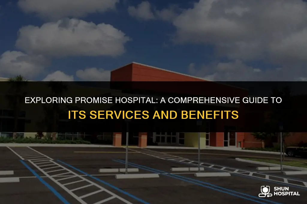 what is promise hospital