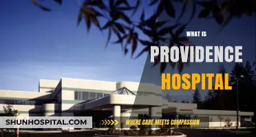 Exploring Providence Hospital: A Comprehensive Guide to Its Services and History