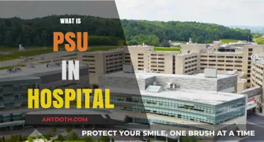 Understanding PSU in Hospitals: A Comprehensive Guide