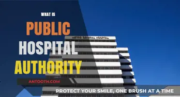 Understanding the Role and Responsibilities of Public Hospital Authorities