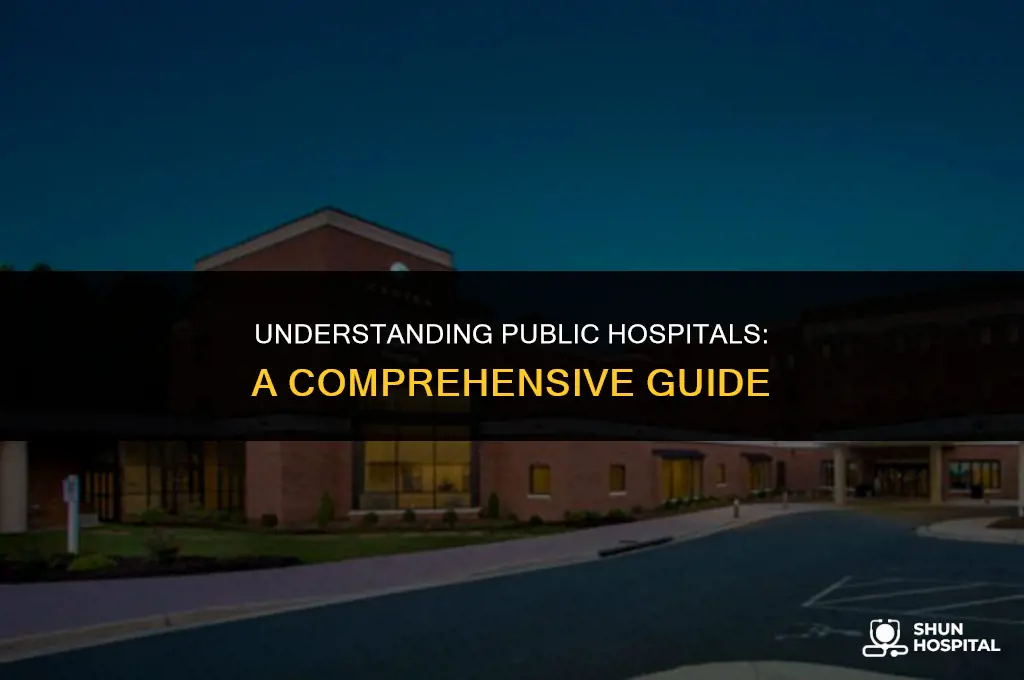 what is public hospital