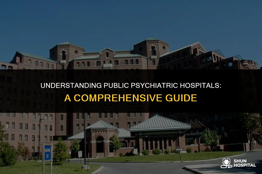 what is public psychiatric hospitals