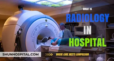 Exploring the Vital Role of Radiology in Modern Hospitals