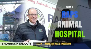 Exploring Raps Animal Hospital: A Haven for Pet Care