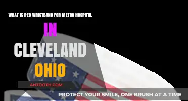 Understanding the Red Wristband System at Cleveland's Metro Hospital