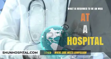 Essential Skills and Qualifications to Become a Hospital MSA