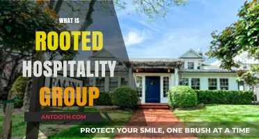 Exploring Rooted Hospitality Group: A Journey into Exceptional Service and Community
