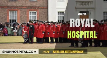 Exploring the Legacy and Excellence of Royal Hospitals