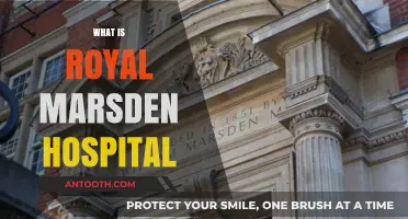 Exploring the Legacy and Excellence of Royal Marsden Hospital