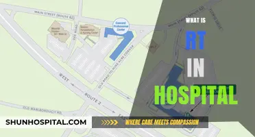 Understanding RT in Hospitals: A Comprehensive Guide for Patients and Families
