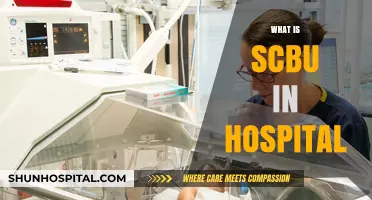 Understanding SCBU: A Comprehensive Guide to Special Care Baby Units in Hospitals