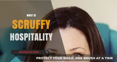 Embracing Imperfection: The Charm of Scruffy Hospitality