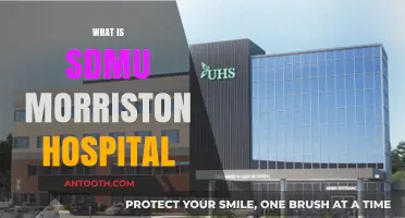 Exploring SDMU Morriston Hospital: A Comprehensive Guide
