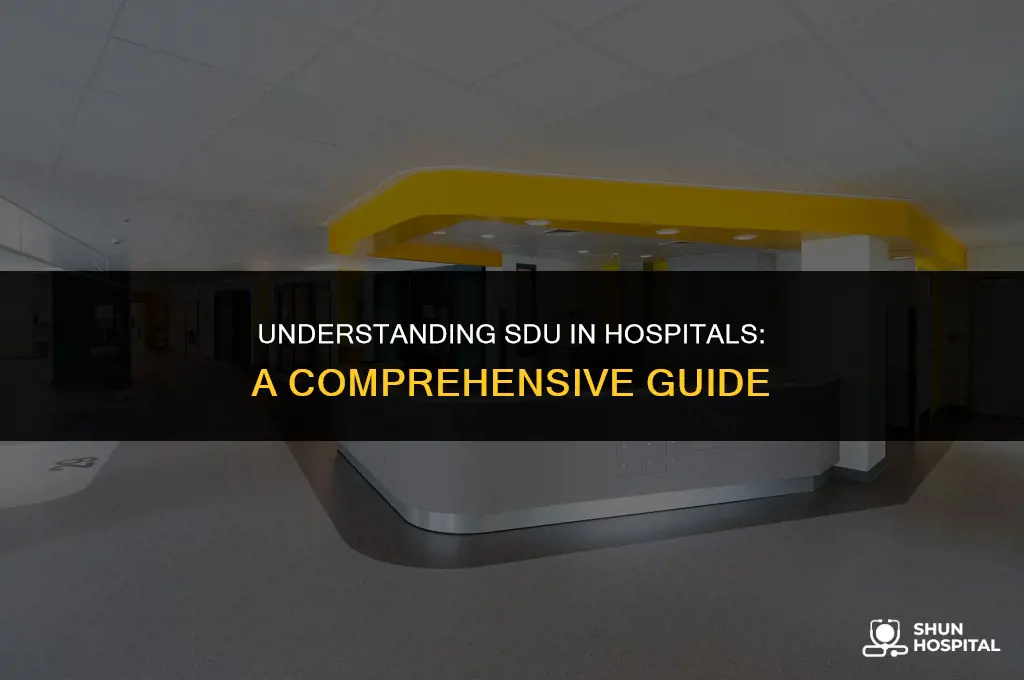 what is sdu in hospital