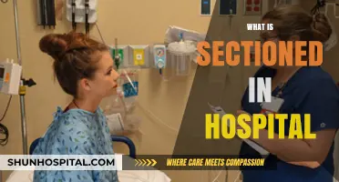Understanding Hospital Sections: A Comprehensive Guide