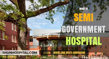Understanding Semi-Government Hospitals: A Comprehensive Guide