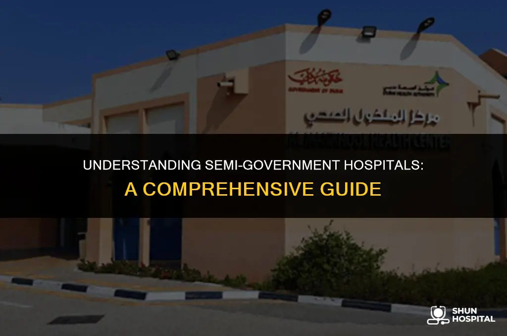 what is semi government hospital