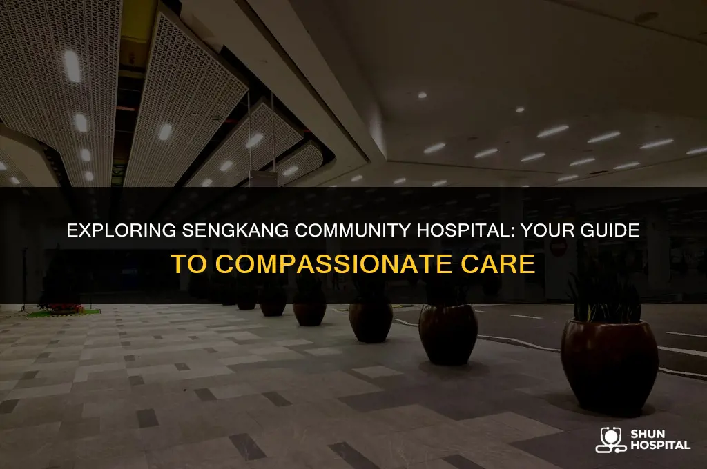 what is sengkang community hospital