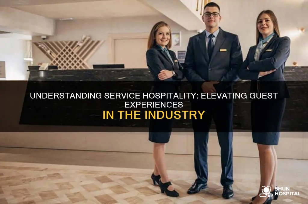 what is service hospitality