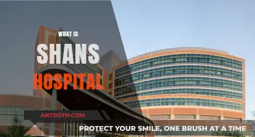 Exploring the Depths of Shan's Hospital: A Comprehensive Guide