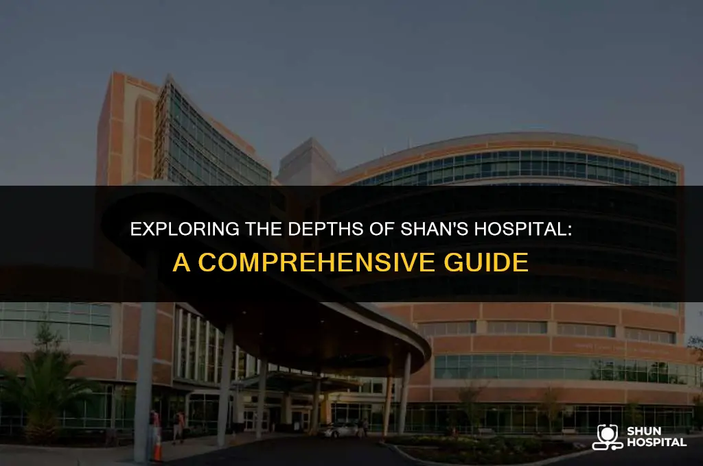 what is shans hospital
