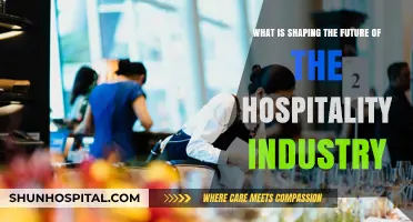 Emerging Trends and Innovations Transforming the Hospitality Industry's Future