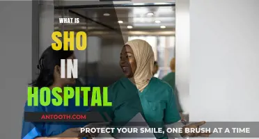Understanding SHO in Hospitals: A Beginner's Guide