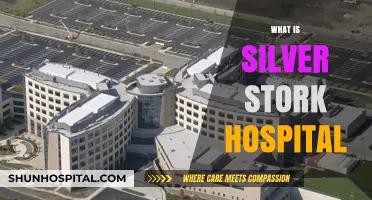 Exploring the Legacy and Services of Silver Stork Hospital
