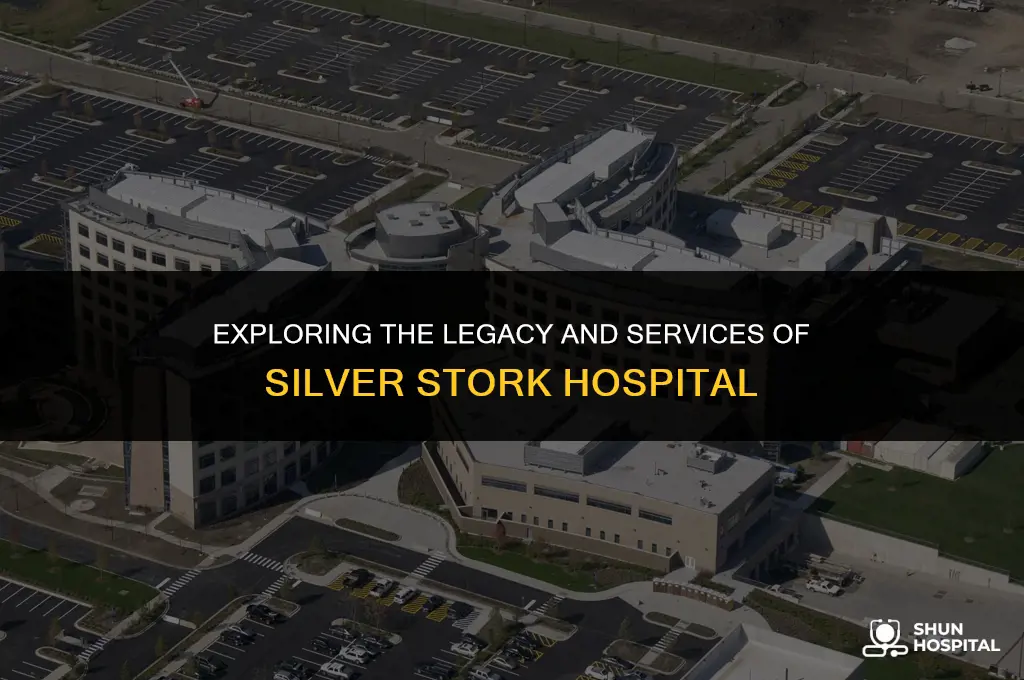 what is silver stork hospital