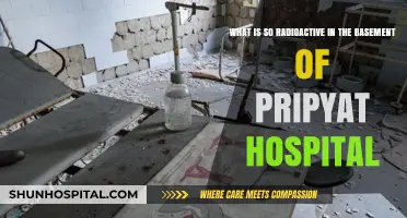 Unveiling Pripyat Hospital's Basement: The Radioactive Secrets Below
