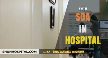 Understanding SOA in Healthcare: Revolutionizing Hospital Services