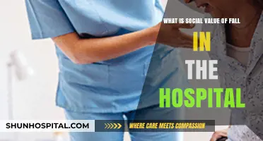 Understanding the Social Impact of Hospital Falls: Prevention and Care