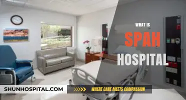 Exploring the Healing Oasis: What Makes Spah Hospital Unique?