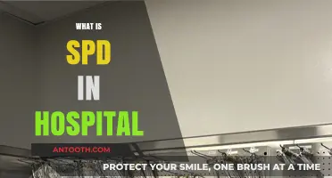 Understanding SPD: Hospital Sterile Processing Department's Crucial Role Explained