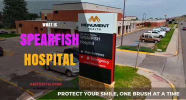 Exploring Spearfish Hospital: Services, History, and Community Impact
