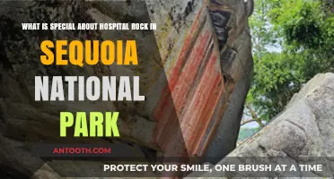 Hospital Rock's Unique History and Natural Wonders in Sequoia National Park