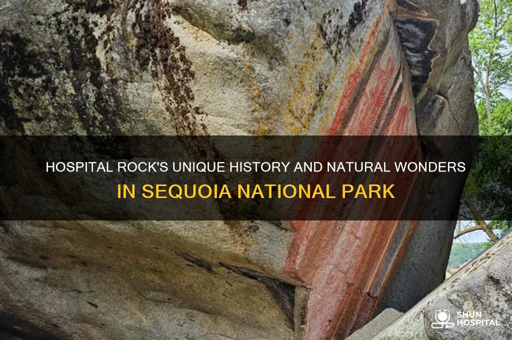 what is special about hospital rock in sequoia national park