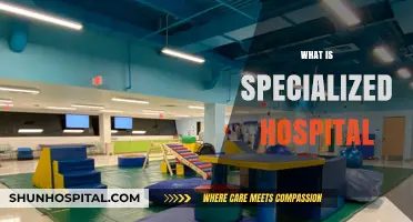 Understanding Specialized Hospitals: A Comprehensive Guide