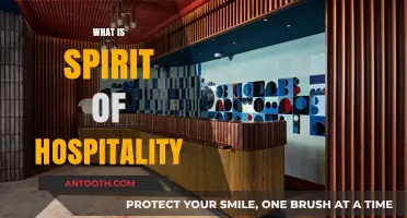 Embracing the Spirit of Hospitality: A Journey Beyond Service