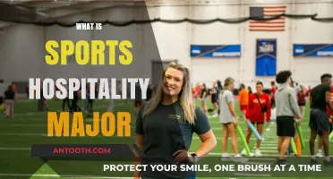 Exploring the Exciting World of Sports Hospitality Majors