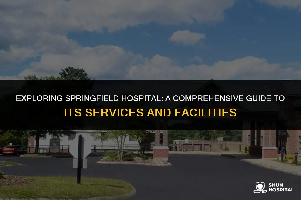 what is springfield hospital