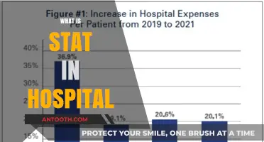 Understanding Hospital Statistics: A Comprehensive Guide