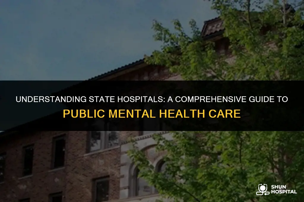 what is state hospital