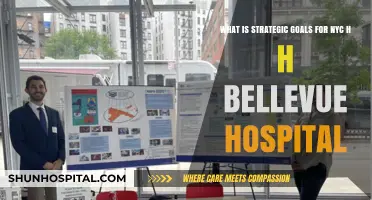 Strategic Goals for NYC's Bellevue Hospital: Vision and Priorities