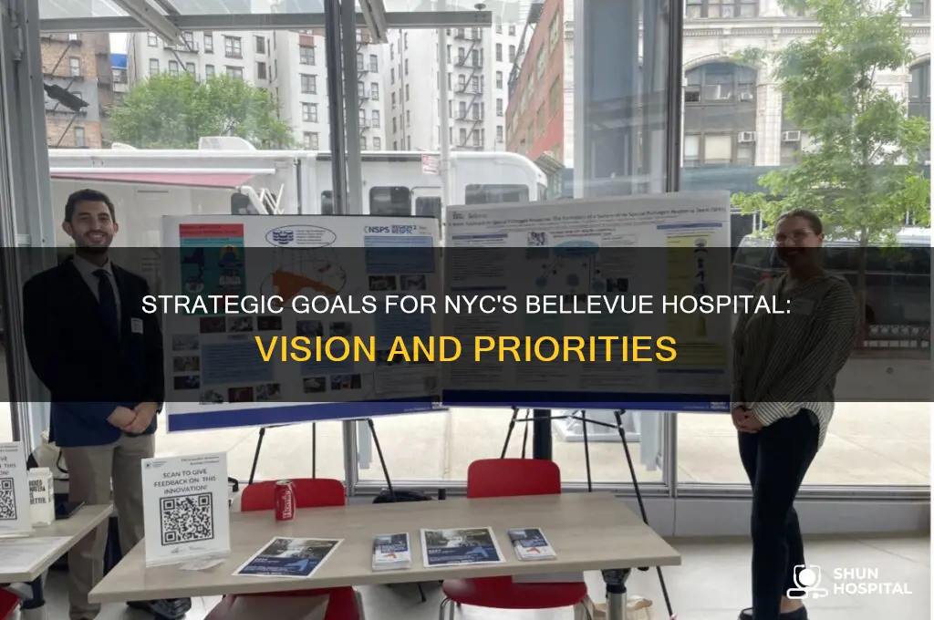 what is strategic goals for nyc h h bellevue hospital