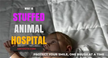 Healing Huggies: Inside the World of Stuffed Animal Hospitals