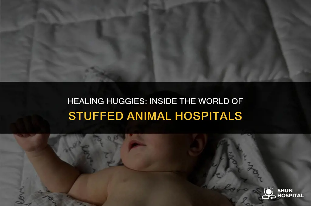 what is stuffed animal hospital