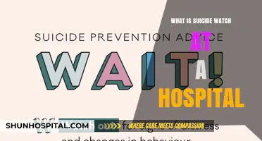 Hospital Suicide Watch: Saving Lives, One Patient at a Time