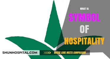 Embracing Warmth: The Universal Symbols of Hospitality