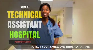 Exploring the Role of a Technical Assistant in Healthcare Settings